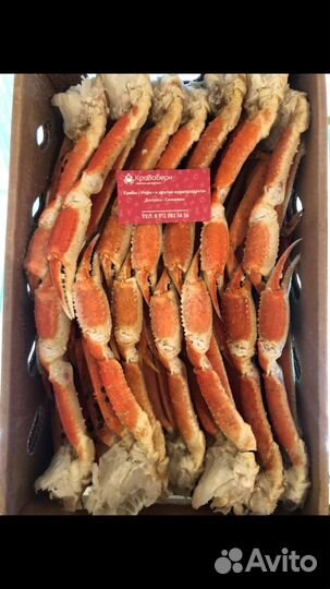 Клешни стригуна,клешни камчатского краба,волосатик