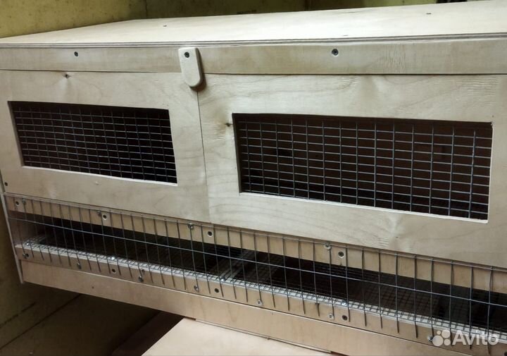 Индюки Хайбрид Индюшата цыплята Бройлер Суточные