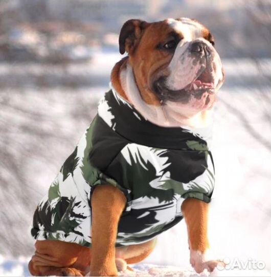 Одежда для больших собак