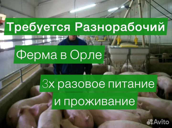 Работа вахта в Орловской области 2750 смена