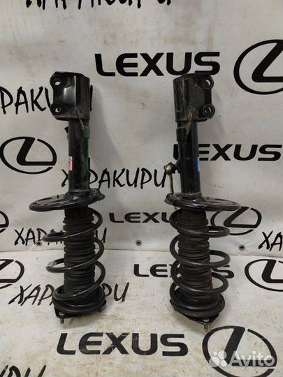 Амортизатор передний левый Lexus Rx4 Rx200T Rx300