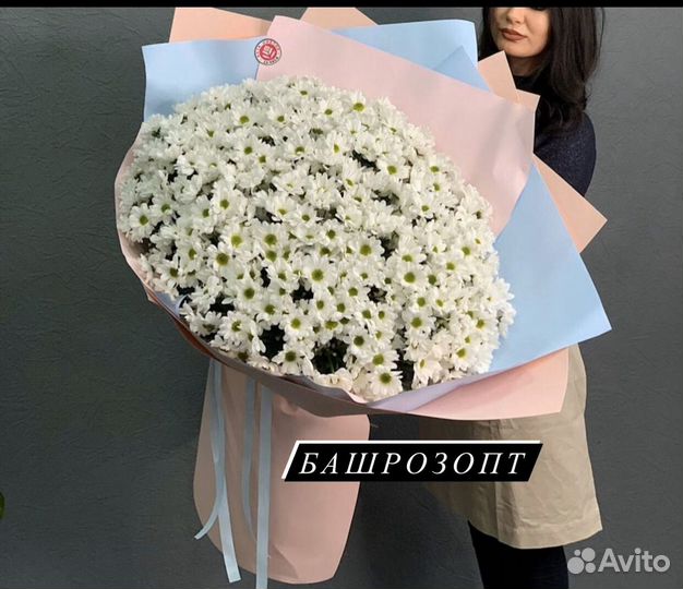 Букет из хризантем гигант