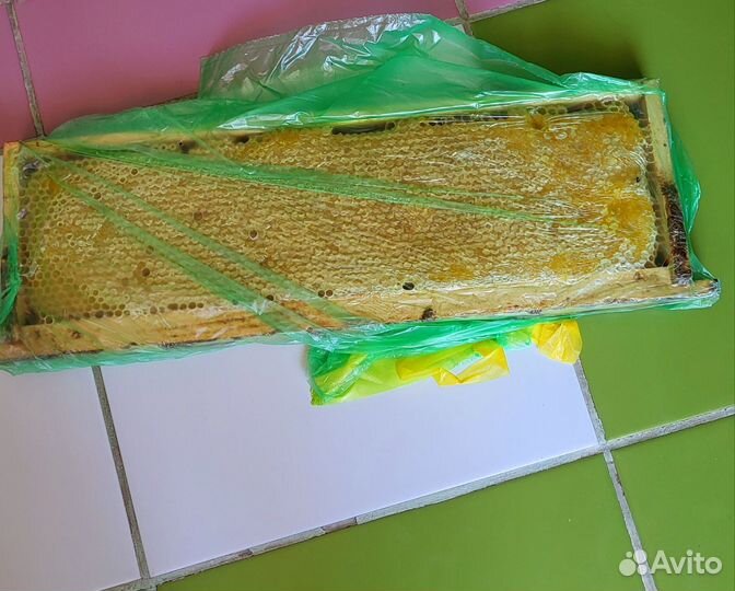 Сотовый мед Башкирии