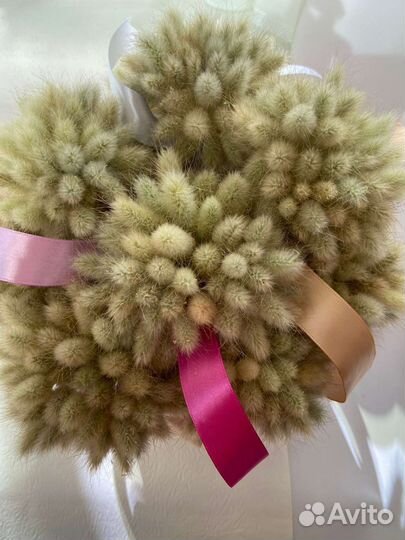 Сухоцвет Лагурус