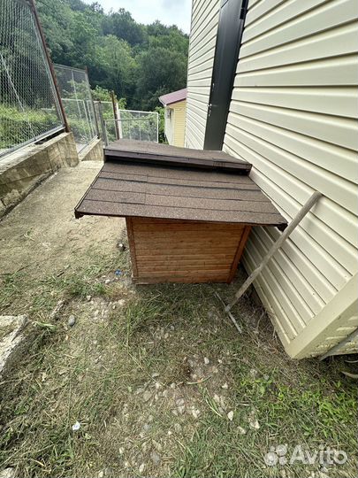 Собачья будка