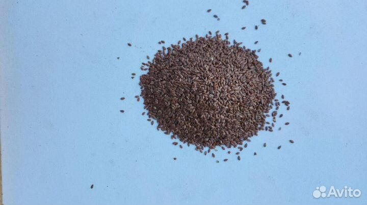 Лен коричневый
