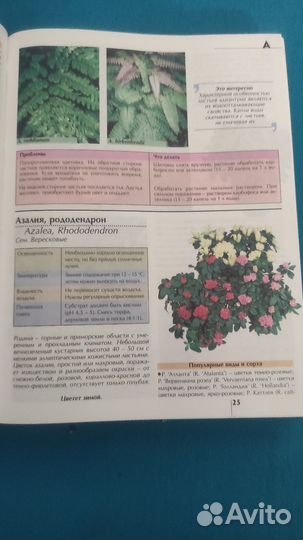 Все комнатные растения. Иллюстр. справочник