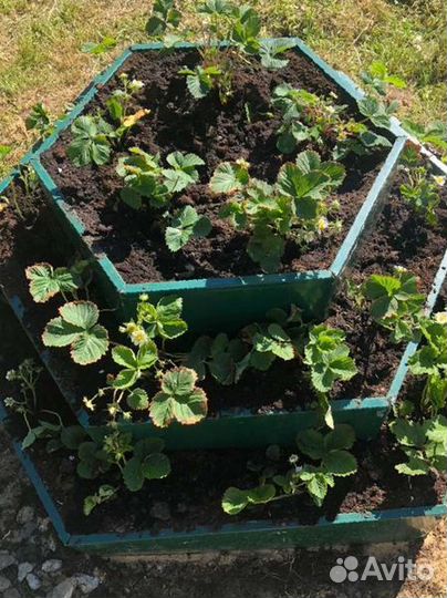 Грядки усиленные полимерные