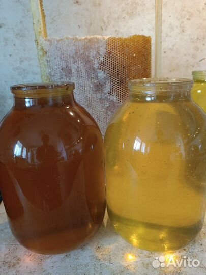 Мед Майский 2023г, гречка, липа, кориандр