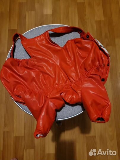 Одежда для маленьких собак