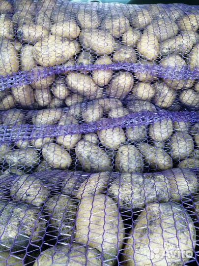 Картофель с доставкой