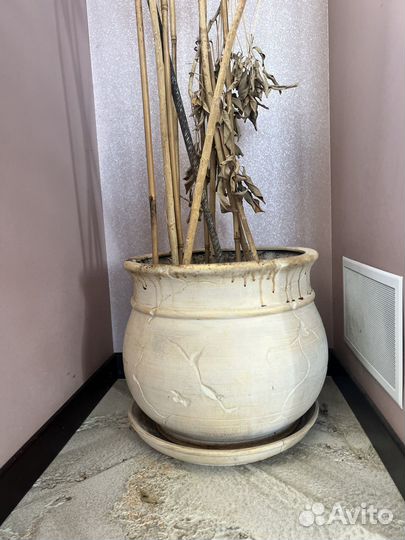Большой глиняный горшок