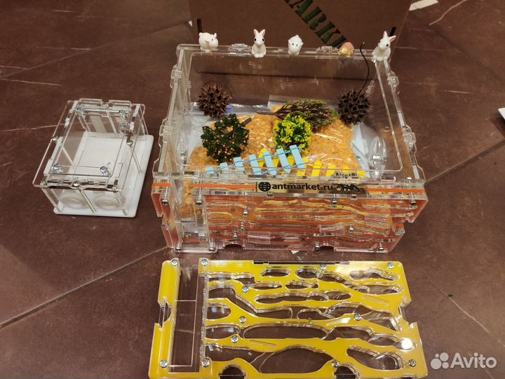 Новый муравейник, комплект