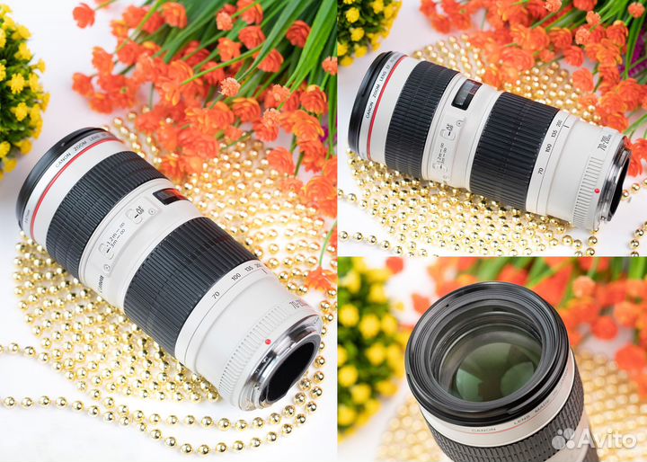 Canon EF 70-200 mm f/4 L USM. Как новый, обмен