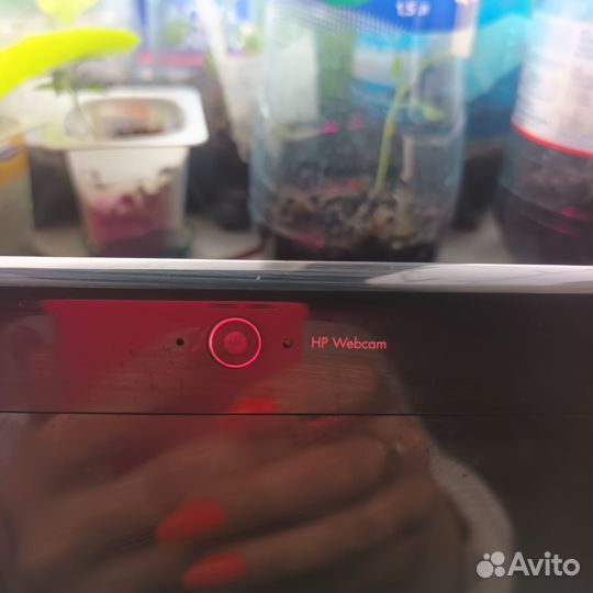 Ноутбук hp pavilion g6