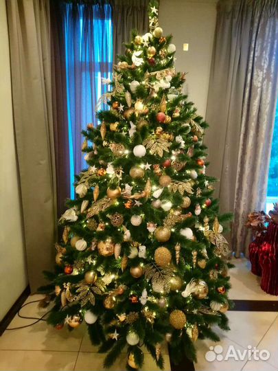 Ёлка в аренду Ёлка на прокат