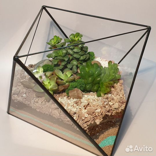 Флорариум. Подарок на день рождения, педагогу