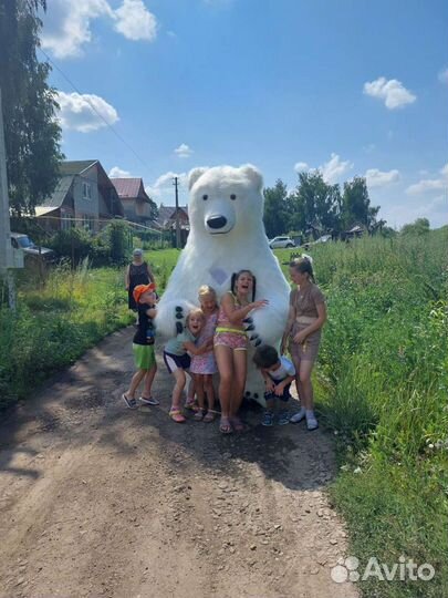 Белый мишка экспресс поздравление на праздники
