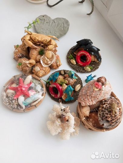 Океаническии ракушки