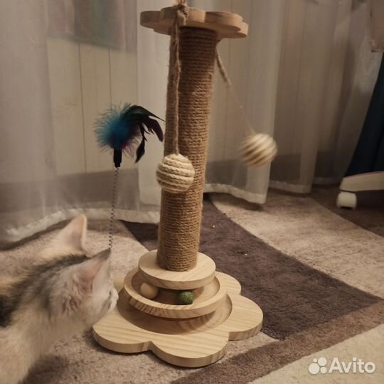 Игрушки для котят