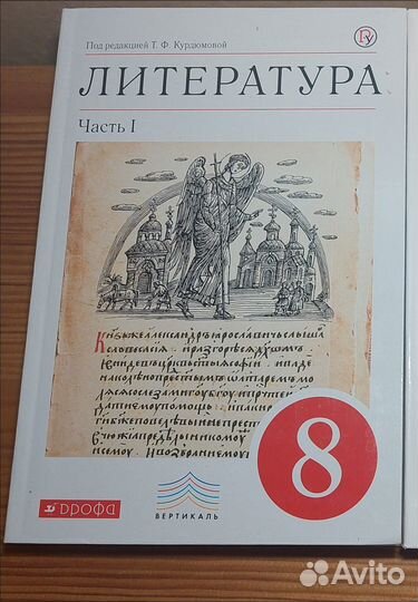 Литература учебник Курдюмова 8 класс 1 ч новый
