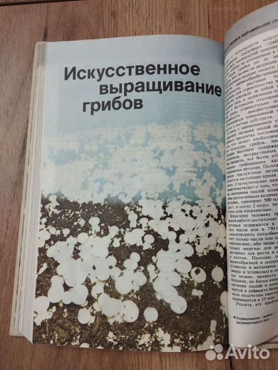 Книга. Всё о грибах