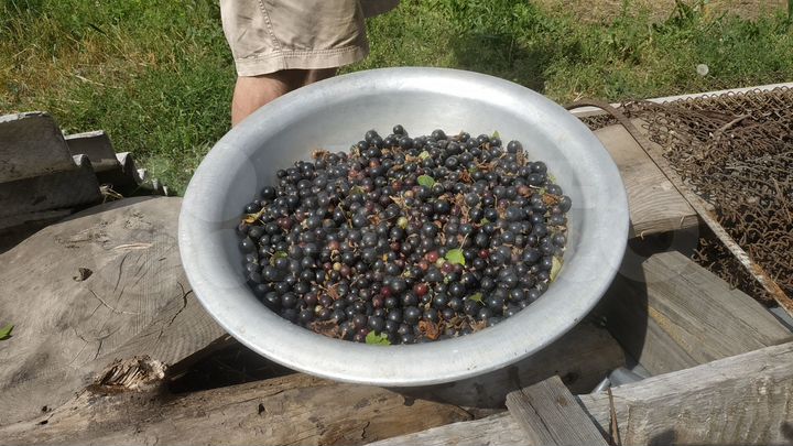 Дом 47,9 м² на участке 13 сот.