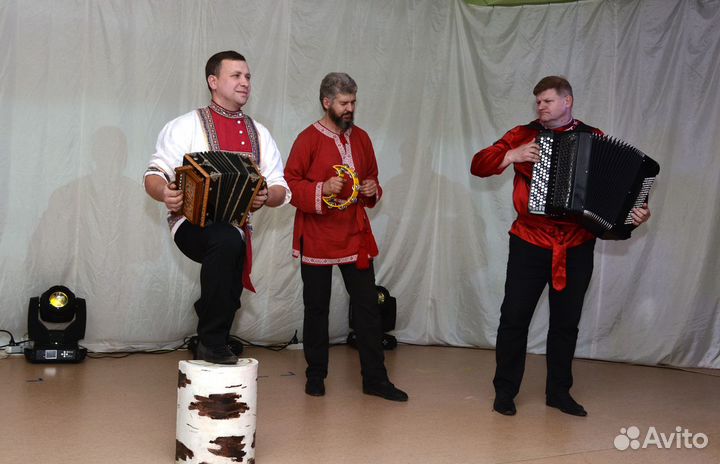 Баянист, гармонист на праздник