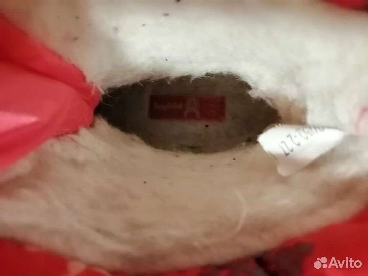 Сапоги для девочки