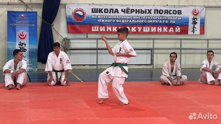 Каратэ шинкиокушинкай