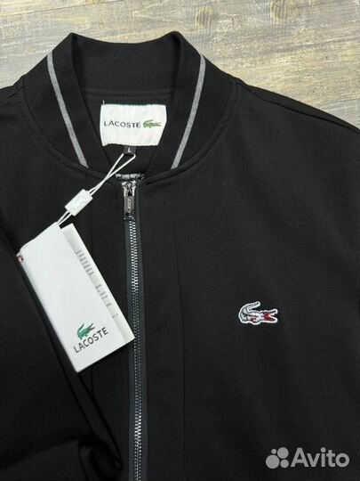 Спортивный Костюм Lacoste Размеры 48-56