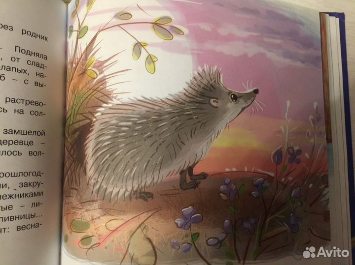 Сказки перед сном