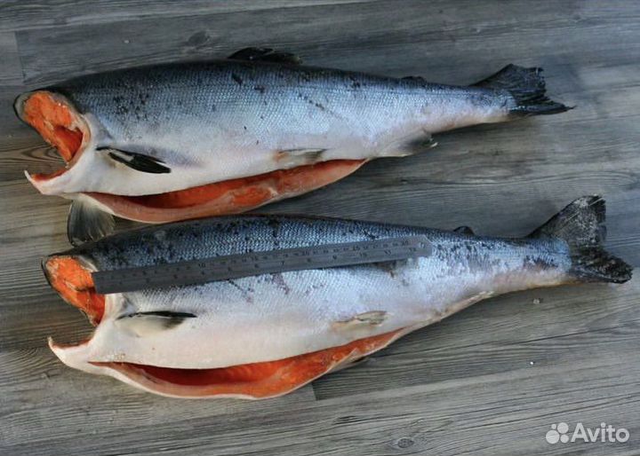 Рыба кижуч свежемороженый
