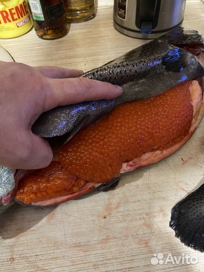 Форель непотрошёная на октябрь из Карелии