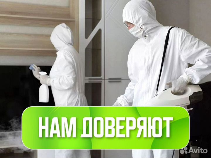 Дезинфекция Уничтожение тараканов, клопов, муравье