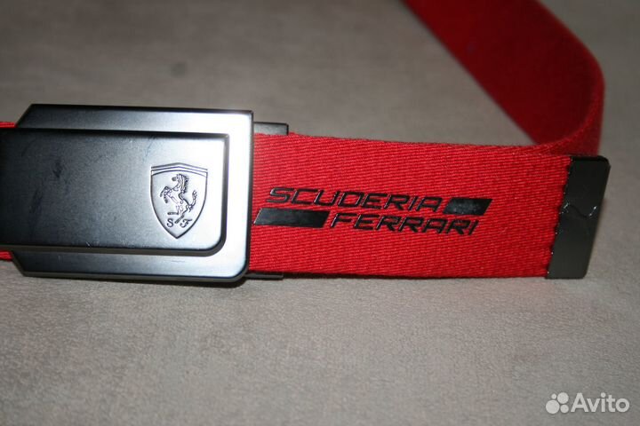 Ремень Ferrari Puma