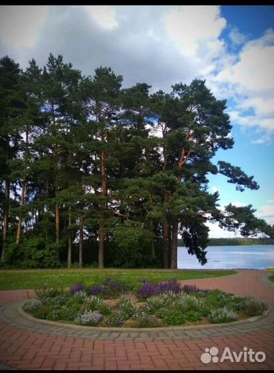 Садовник (дом,улица), фитопатолог, проектирование