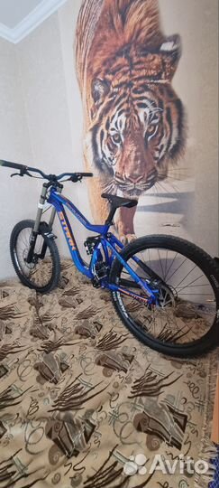 Stark devolution 2017 L 27.5