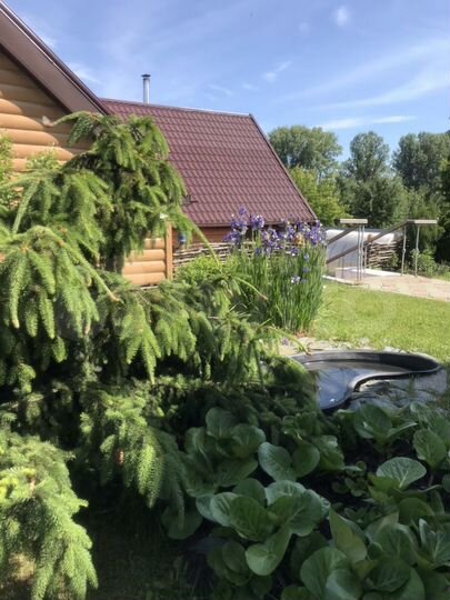 Коттедж 600 м² на участке 50 сот.