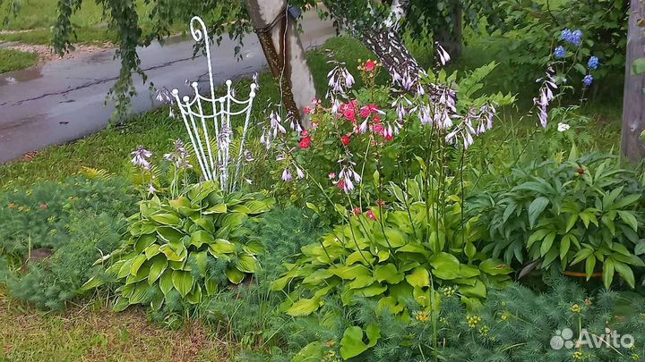 Кованный зонтик украшение для сада для Дмитрия