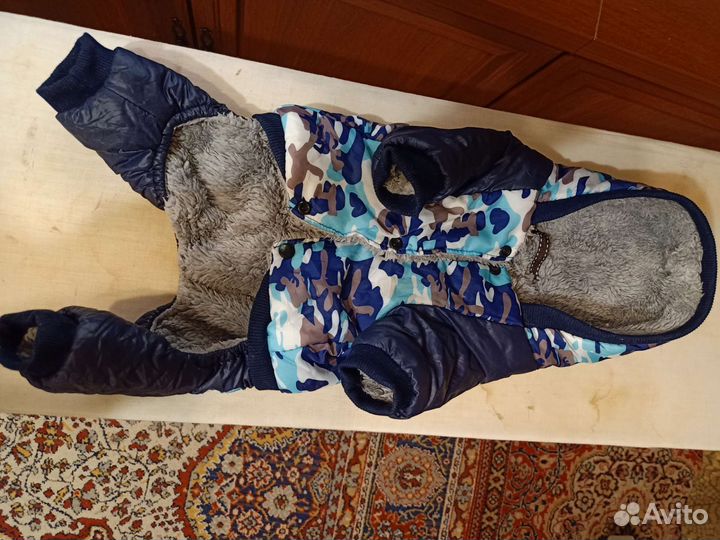 Одежда для маленьких собак