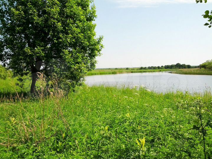 Участок 6 сот. (ИЖС)