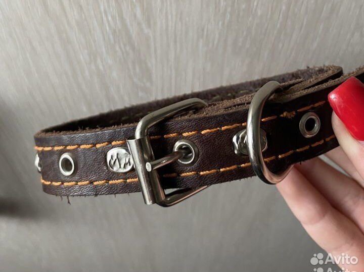 Ошейник для собак