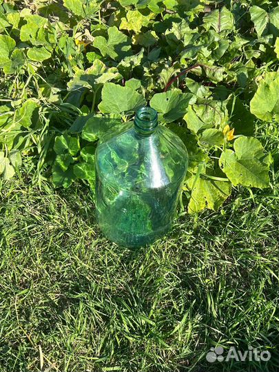 Стеклянные бутыли 20л, стеклянные бутыли 10л