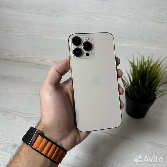 iPhone 13 Pro Max, 256 ГБ