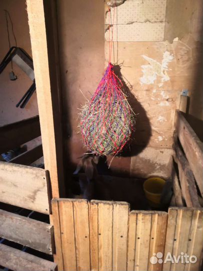 Рептуха медленная кормушка