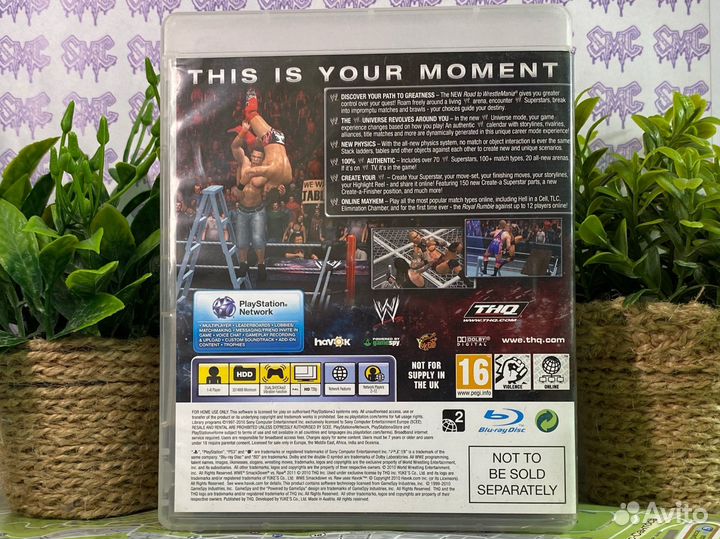 SmackDown VS Raw 2011 PS3