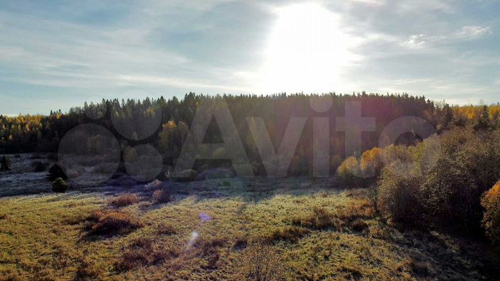 Участок 2,5 га (СНТ, ДНП)