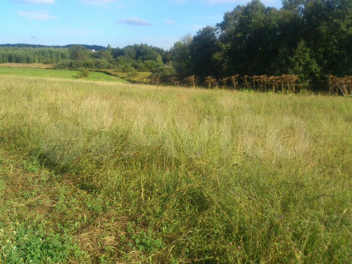 Участок 10 сот. (ИЖС)