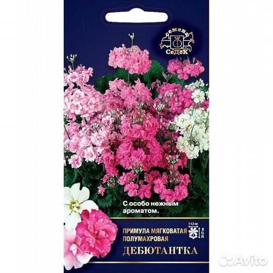 Семена примулы Бесплатная доставка